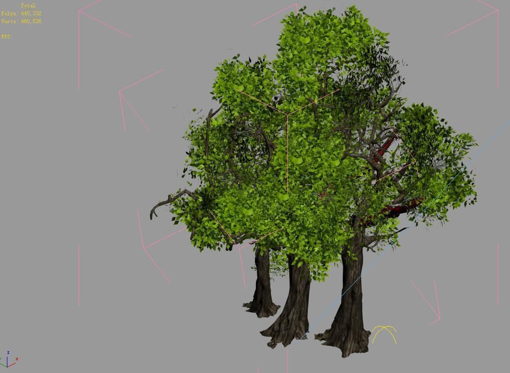 Populus euphratica-poplar-special tree 34 3D model_3