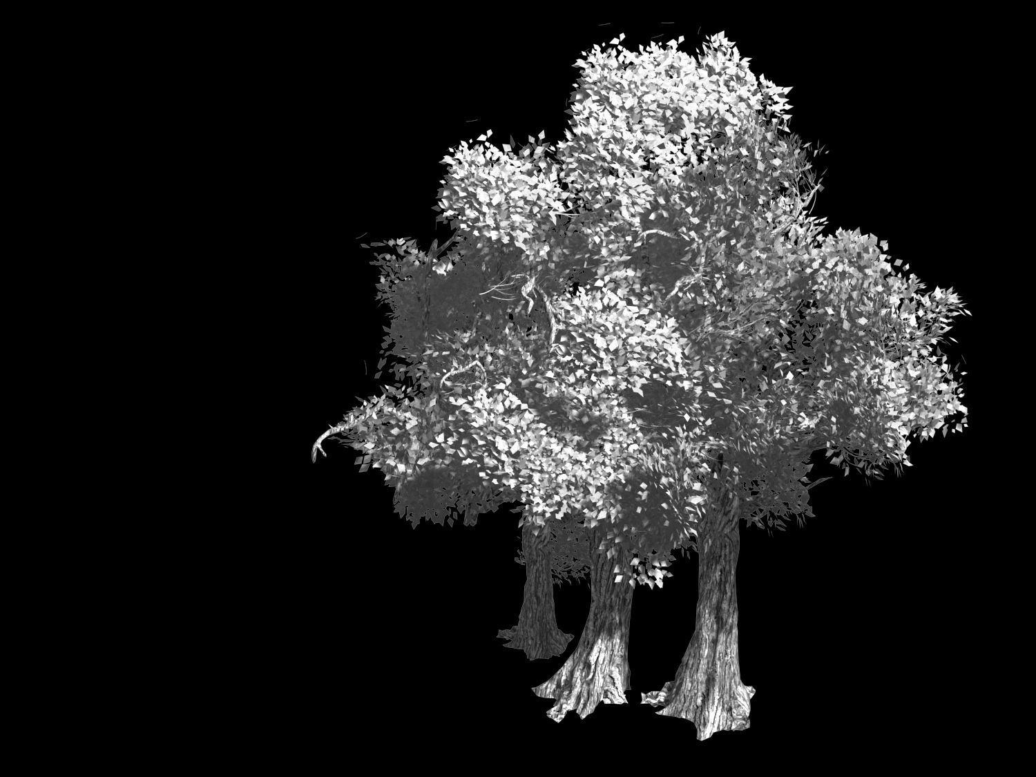 Populus euphratica-poplar-special tree 34 3D model_2
