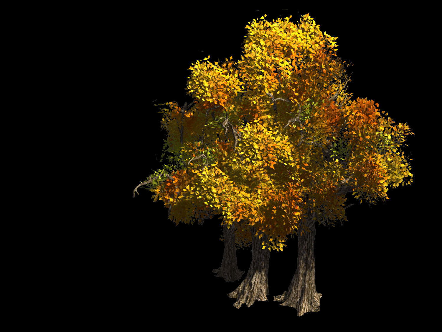 Populus euphratica-poplar-special tree 34 3D model_1