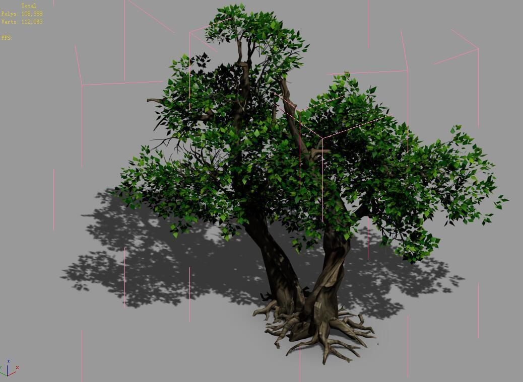 Populus euphratica-poplar-special tree 36 3D model_4