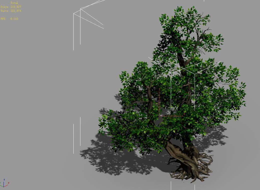 Populus euphratica-poplar-special tree 37 3D model_4