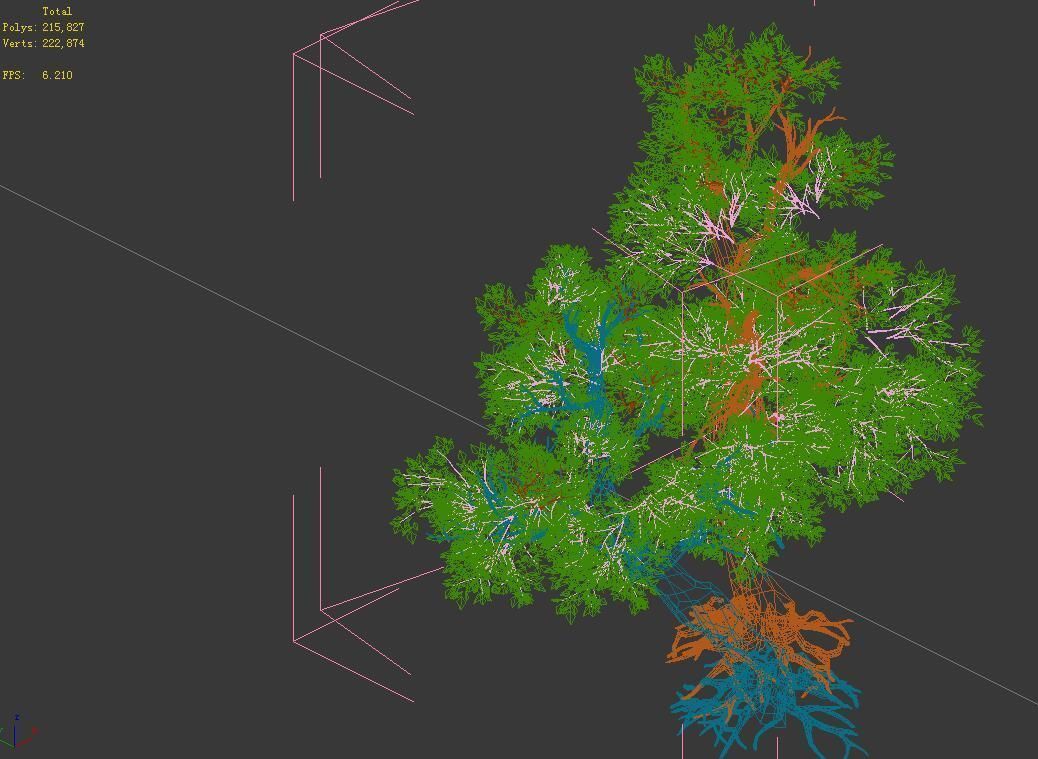 Populus euphratica-poplar-special tree 37 3D model_3