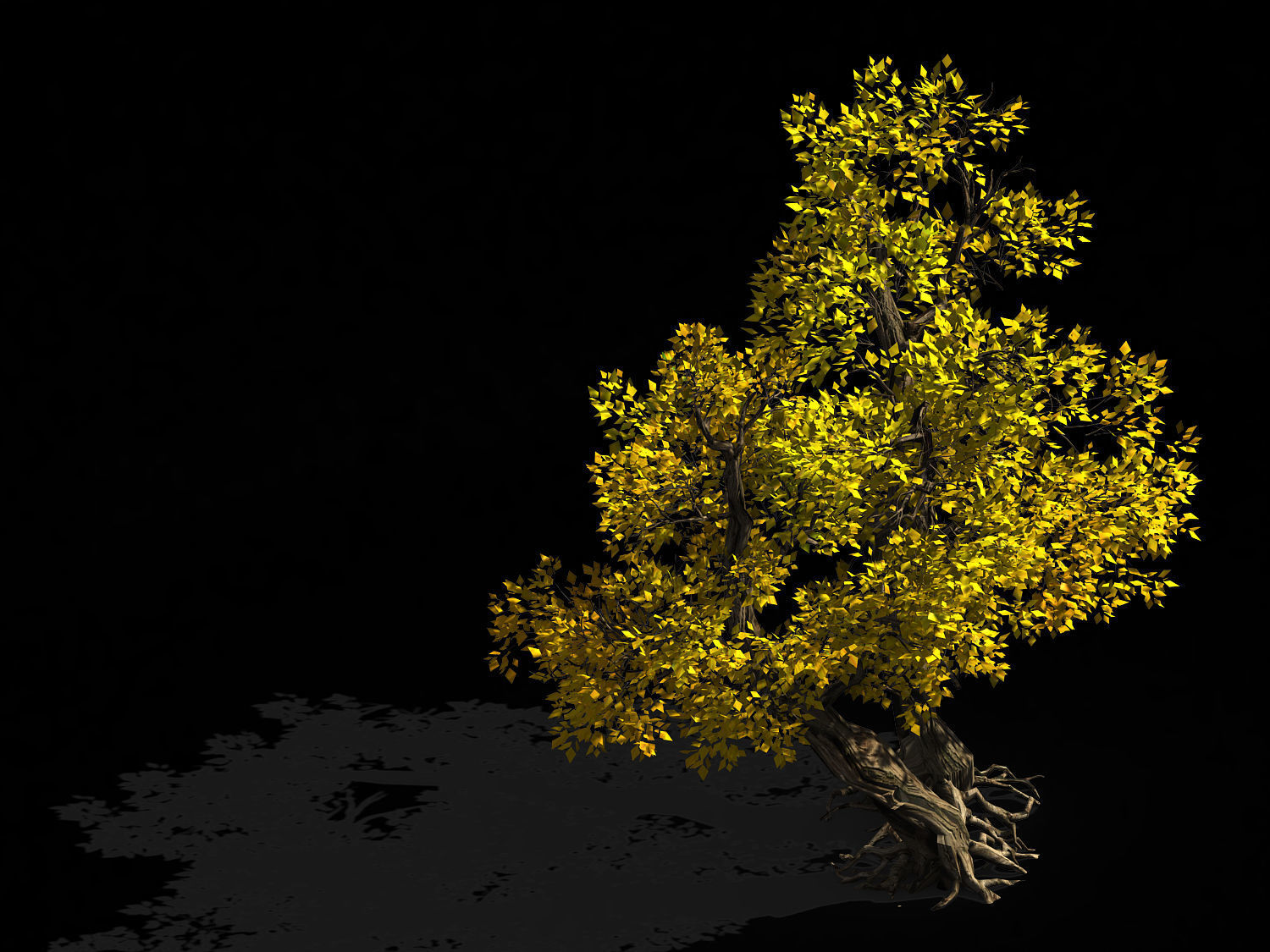 Populus euphratica-poplar-special tree 37 3D model_1
