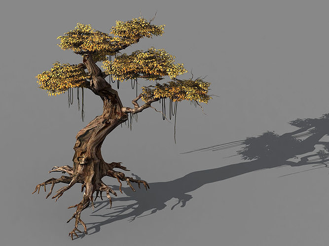 Populus euphratica-poplar-special tree 38 3D model