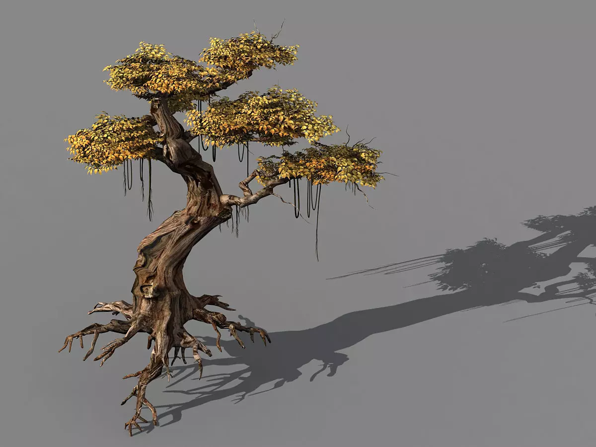 Populus euphratica-poplar-special tree 38 3D model_0