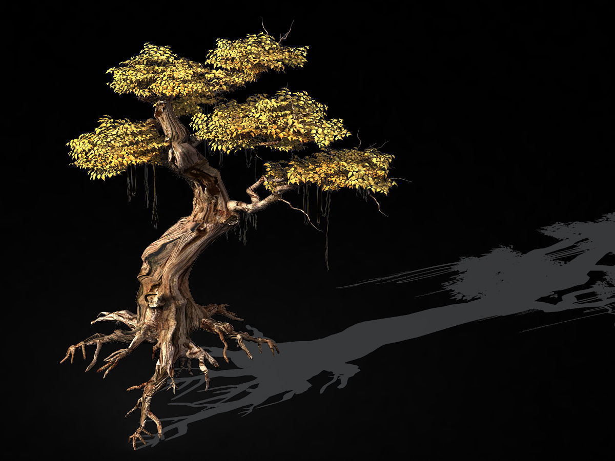 Populus euphratica-poplar-special tree 38 3D model_1