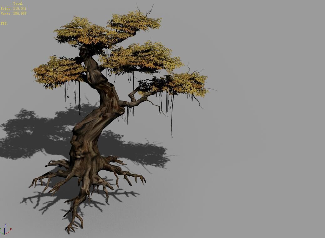 Populus euphratica-poplar-special tree 38 3D model_4