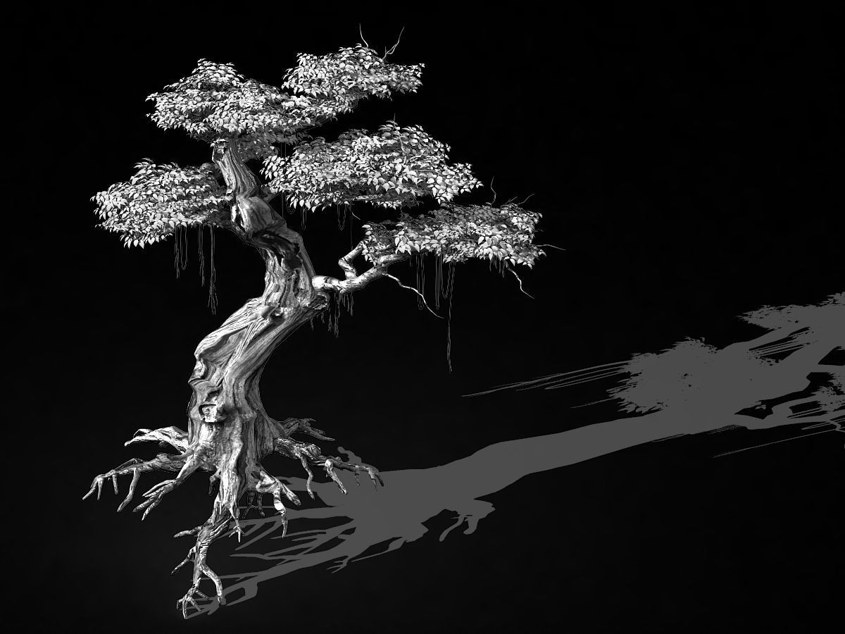 Populus euphratica-poplar-special tree 38 3D model_2