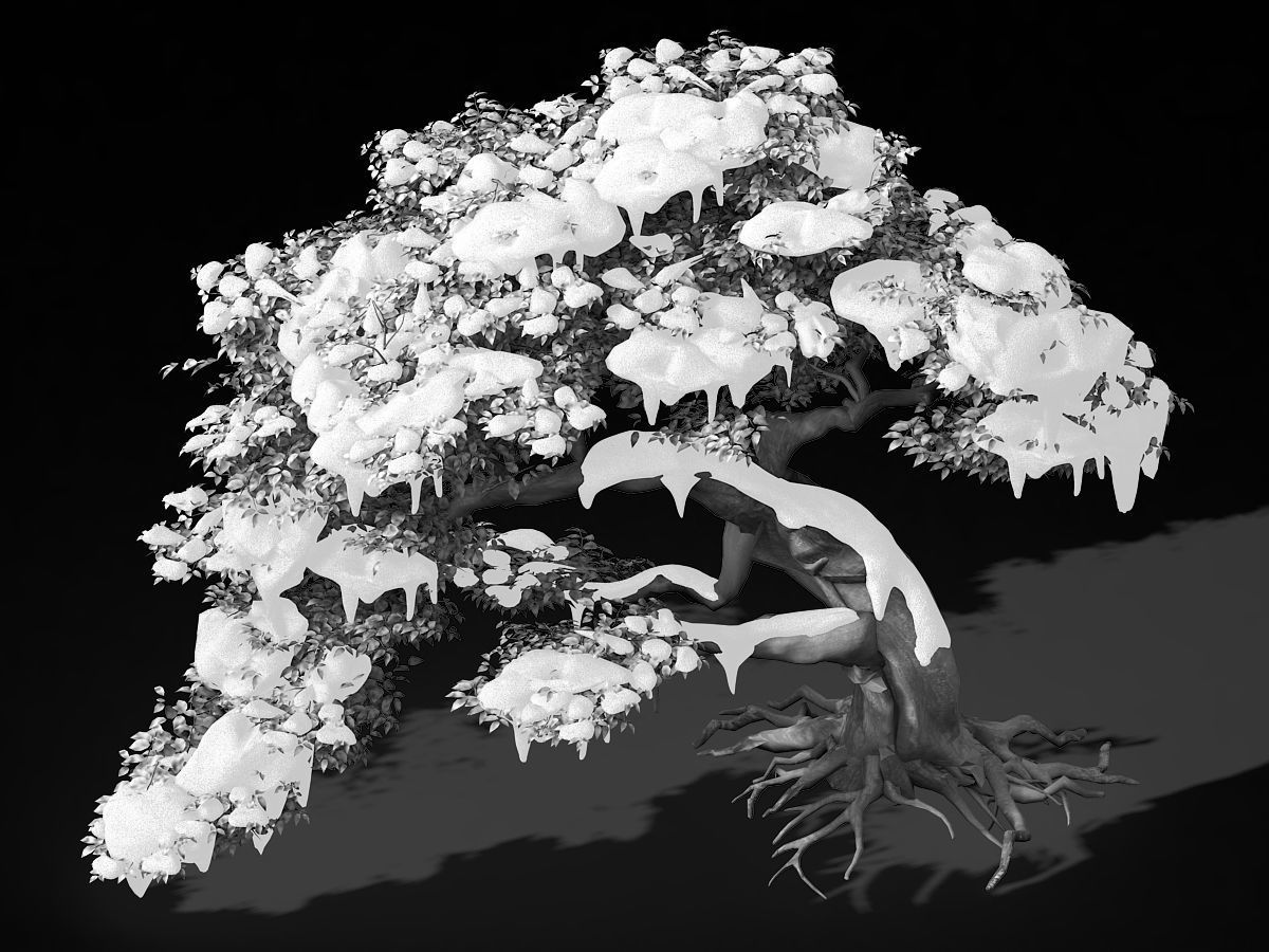 Populus euphratica-poplar-special tree 210 3D model_2