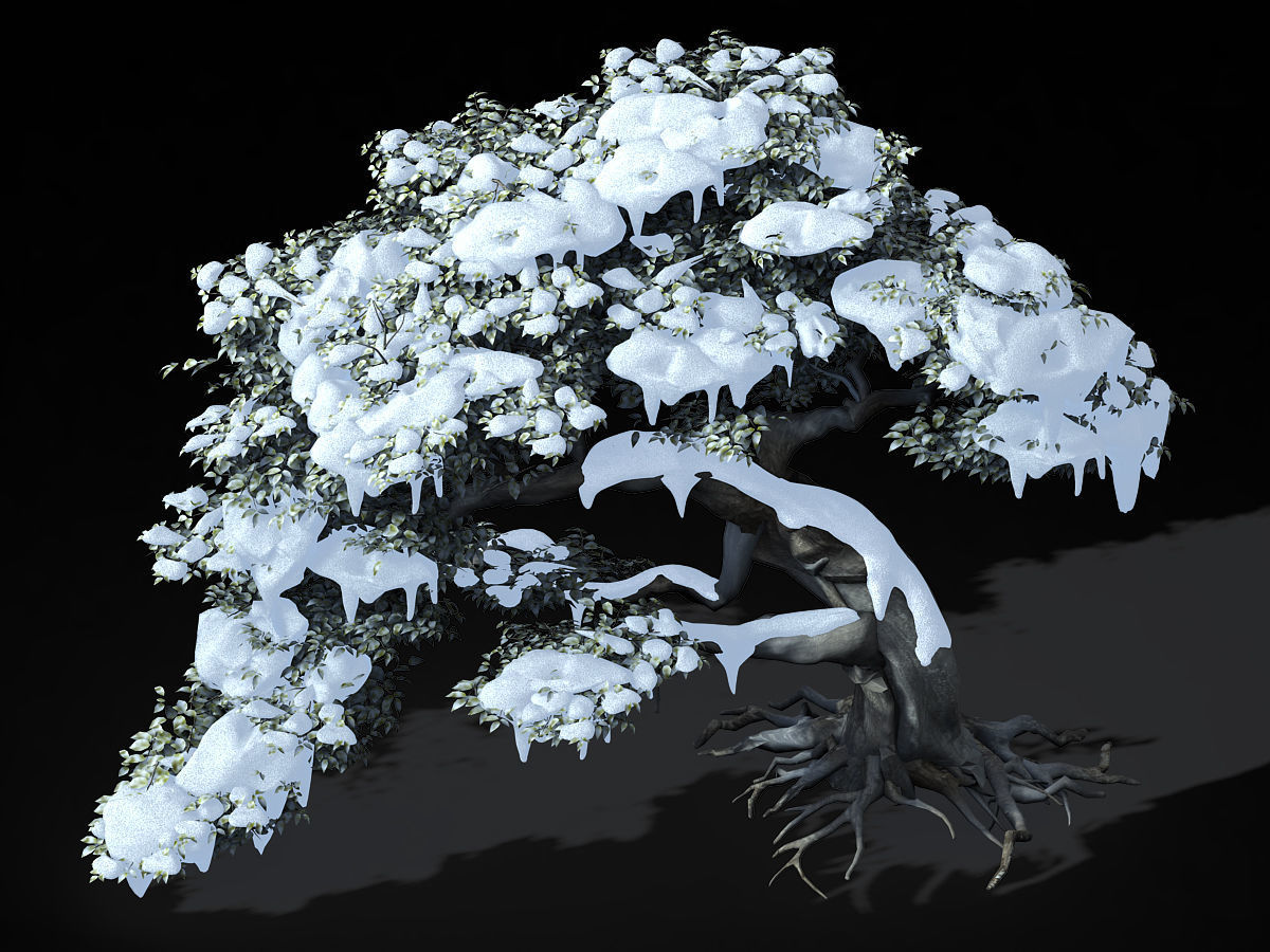 Populus euphratica-poplar-special tree 210 3D model_1