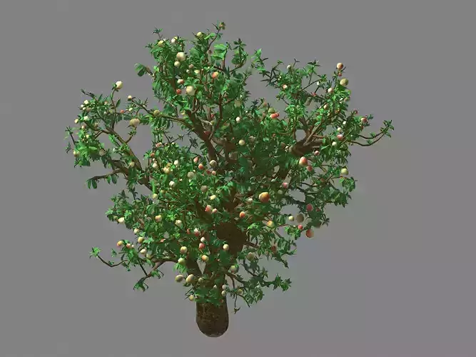 Outdoor-Nature-Travel-Peach Blossom 15