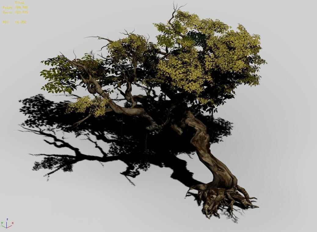 Flower and Fruit Mountain-Tree 04 3D model_4