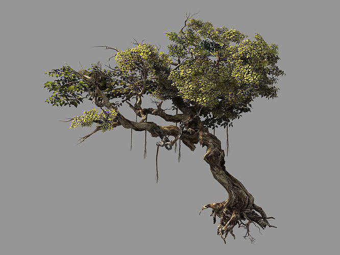 Flower and Fruit Mountain-Tree 04 3D model