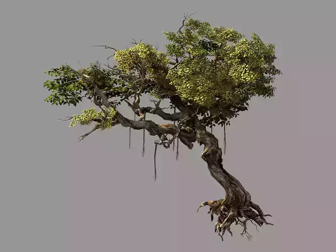 Flower and Fruit Mountain-Tree 04 3D model