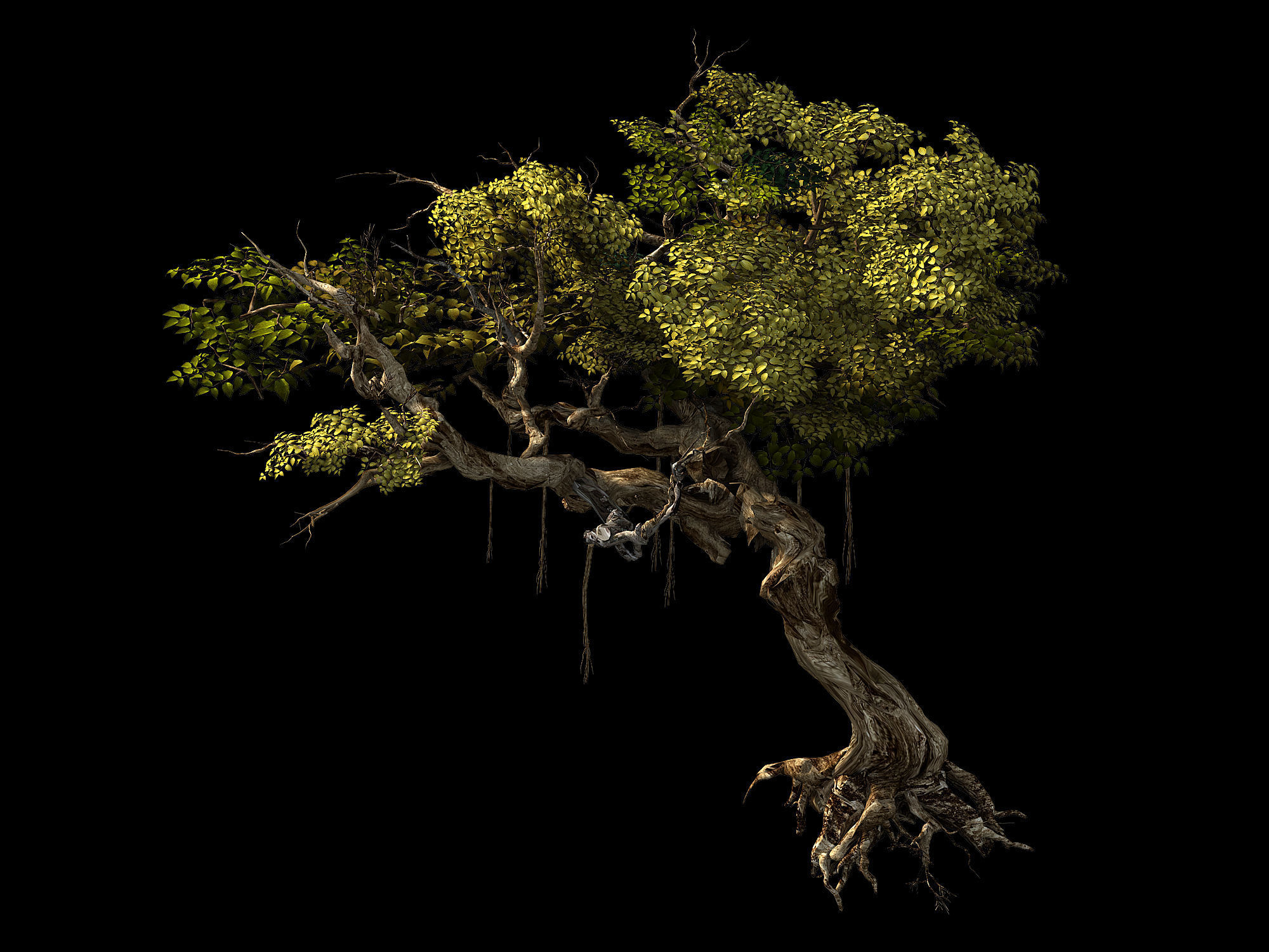 Flower and Fruit Mountain-Tree 04 3D model_1