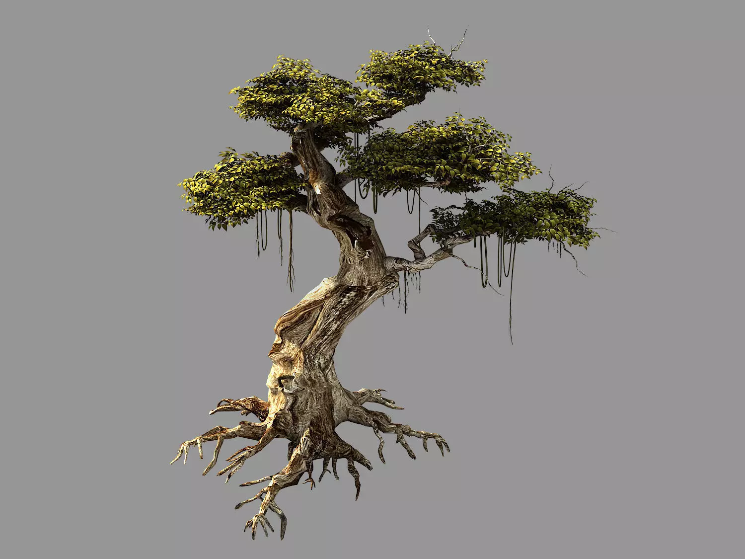 Huaguoshan-tree 06 3D model_0