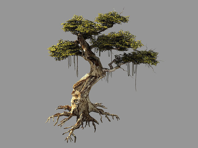 Huaguoshan-tree 06 3D model