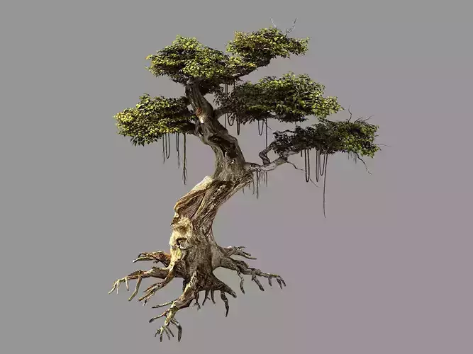 Huaguoshan-tree 06 3D model