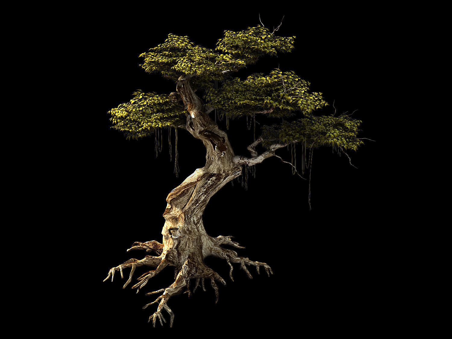 Huaguoshan-tree 06 3D model_1