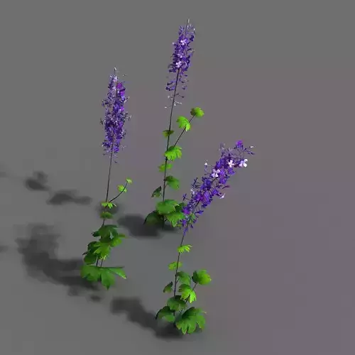 Flower-plant-special 3 three flowers