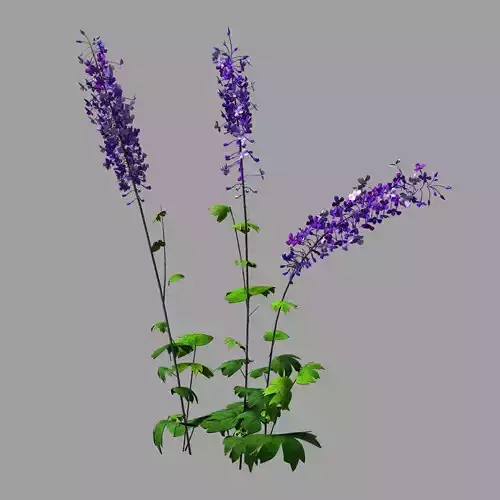 Flower-plant-special 32