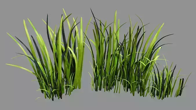 Tall Grass A Stylized Low-poly 3D model