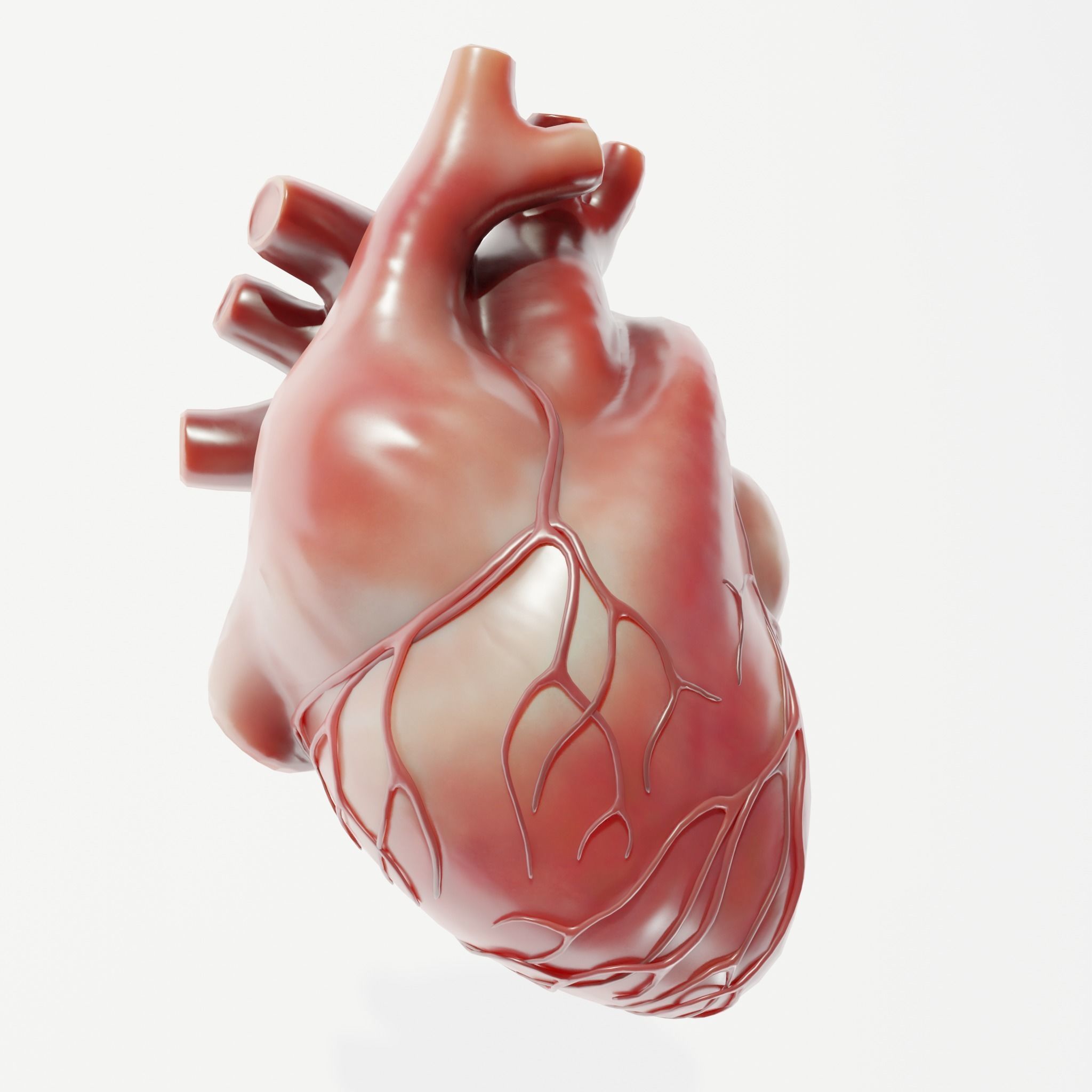 Human Heart Low-poly 3D model_2