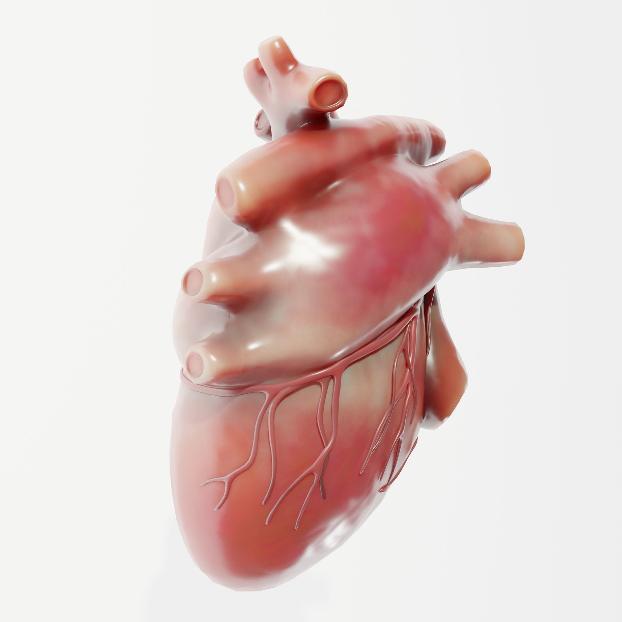 Human Heart Low-poly 3D model_4
