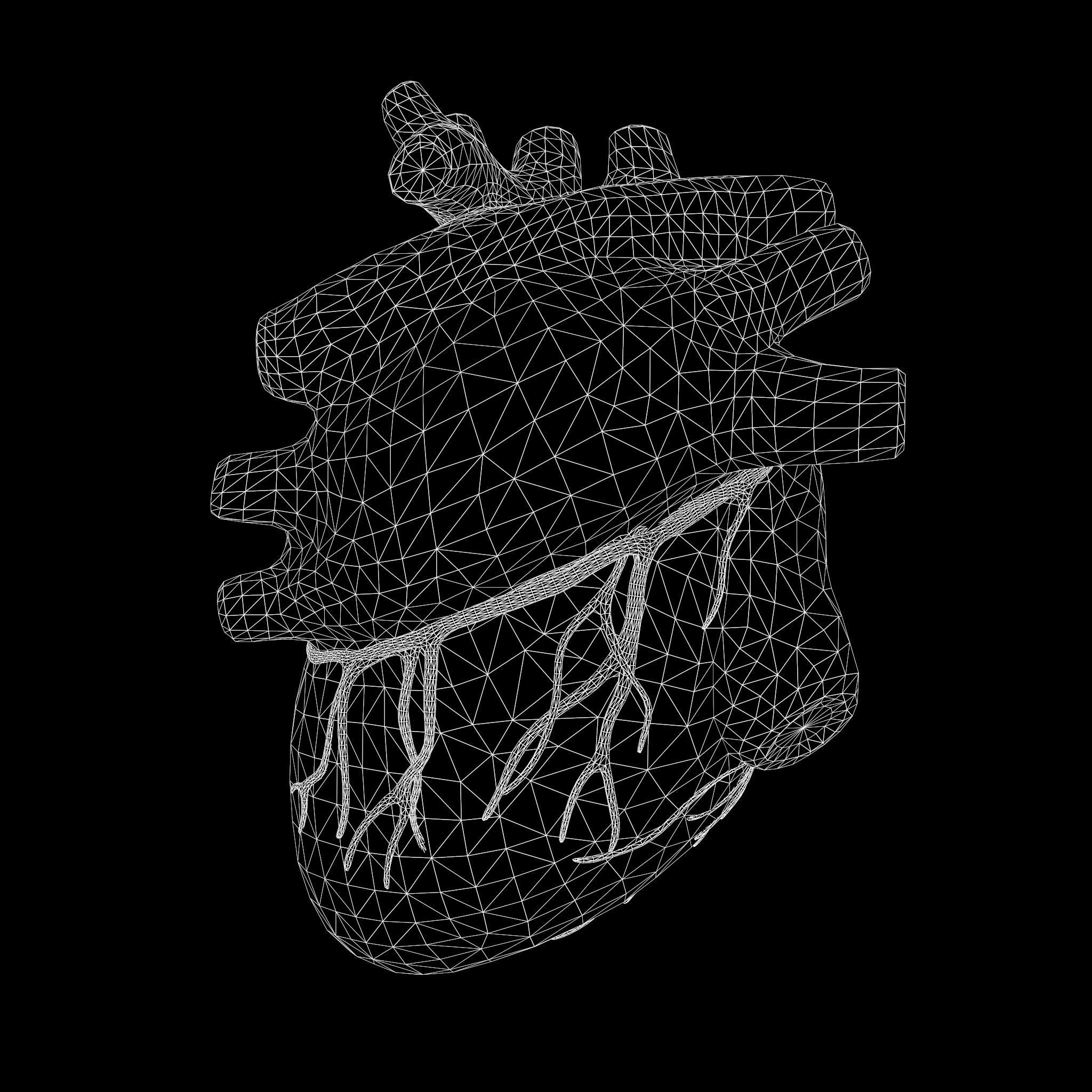 Human Heart Low-poly 3D model_9