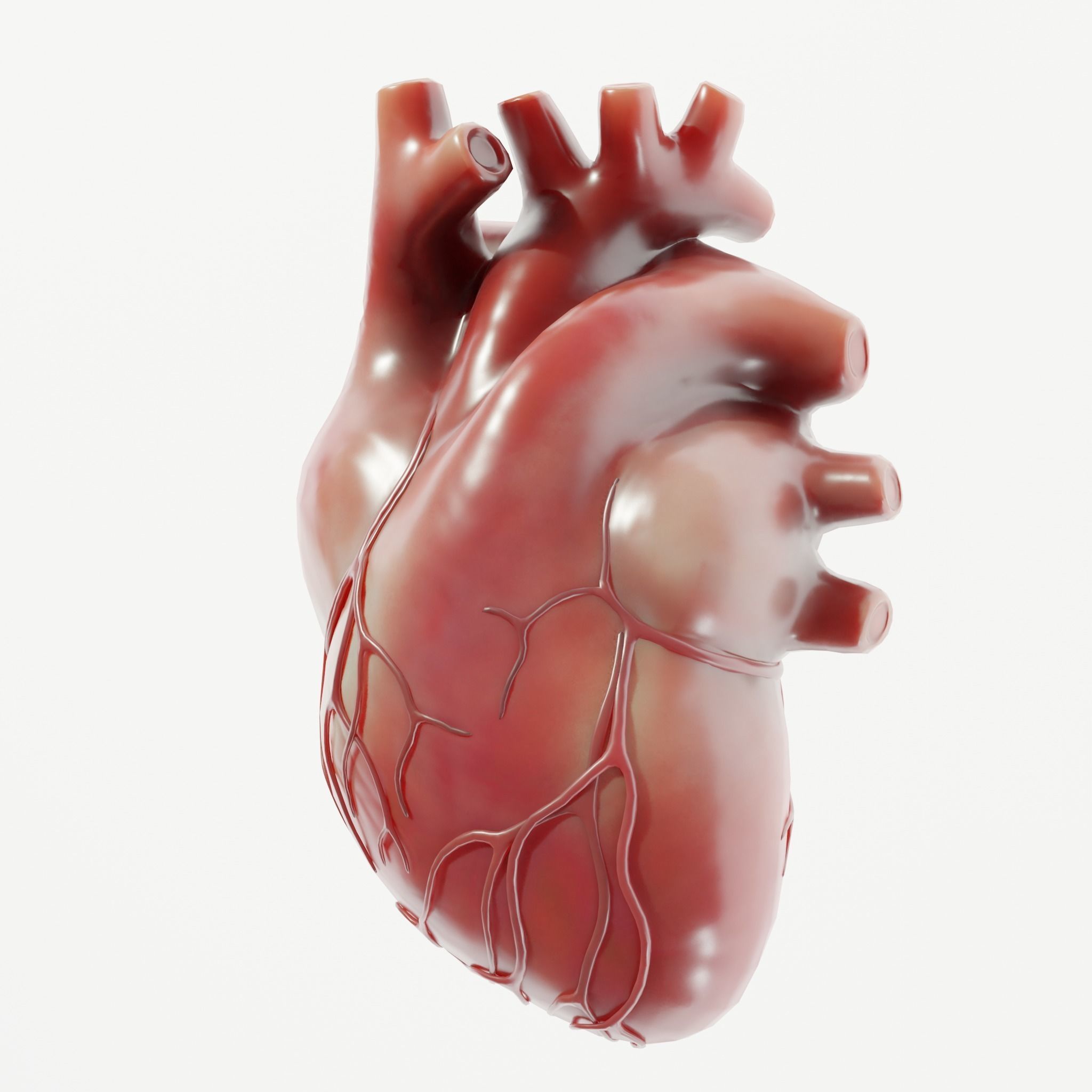 Human Heart Low-poly 3D model_1