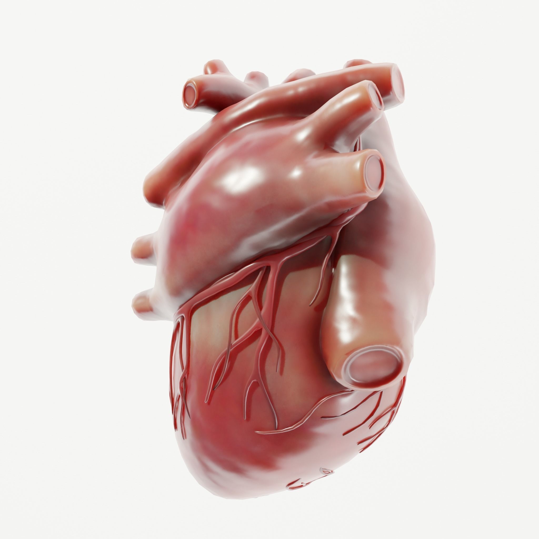 Human Heart Low-poly 3D model_5