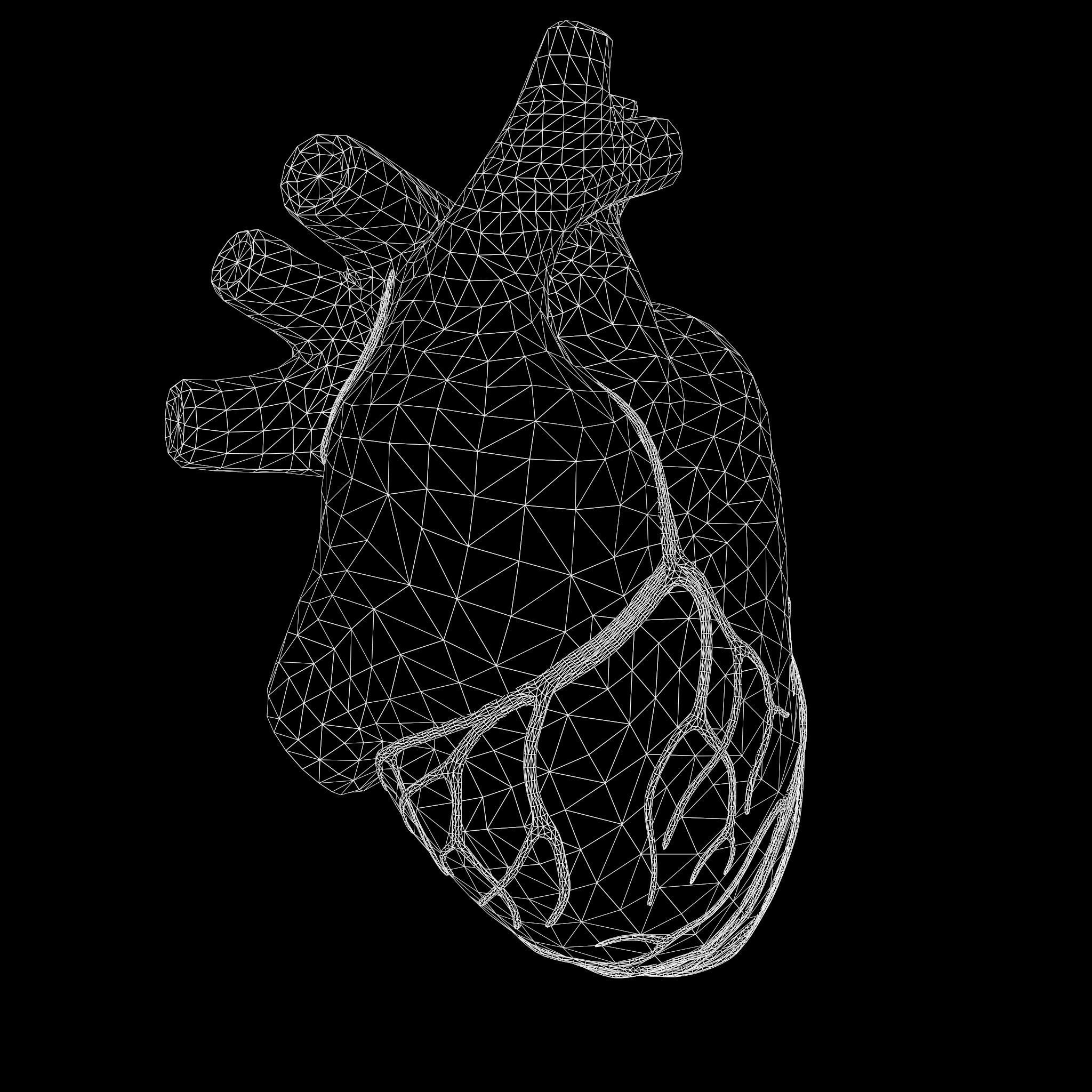 Human Heart Low-poly 3D model_8