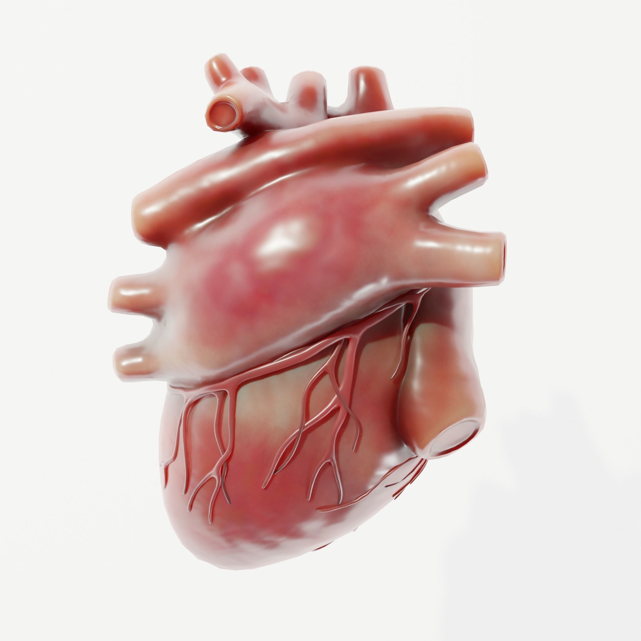 Human Heart Low-poly 3D model_3