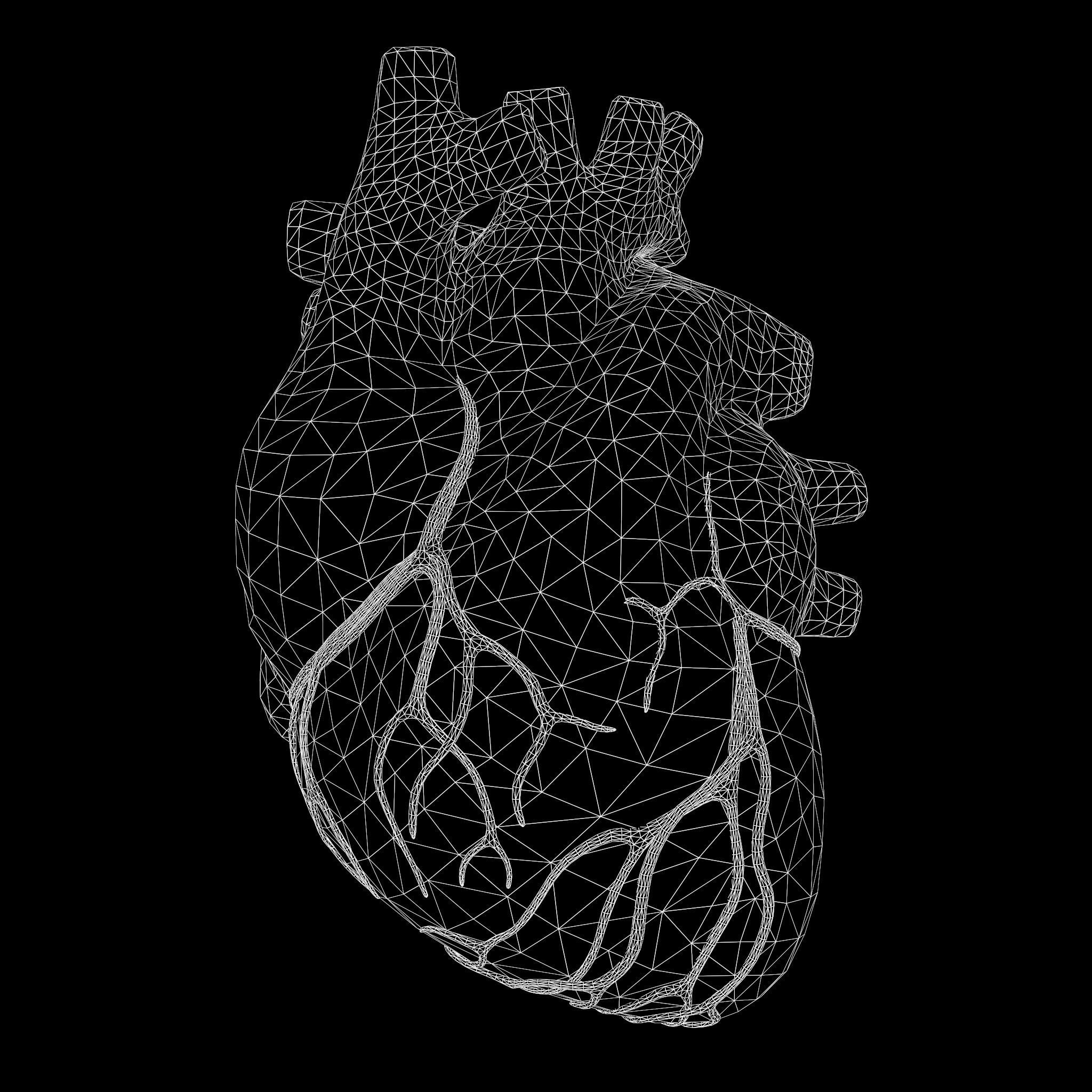 Human Heart Low-poly 3D model_7