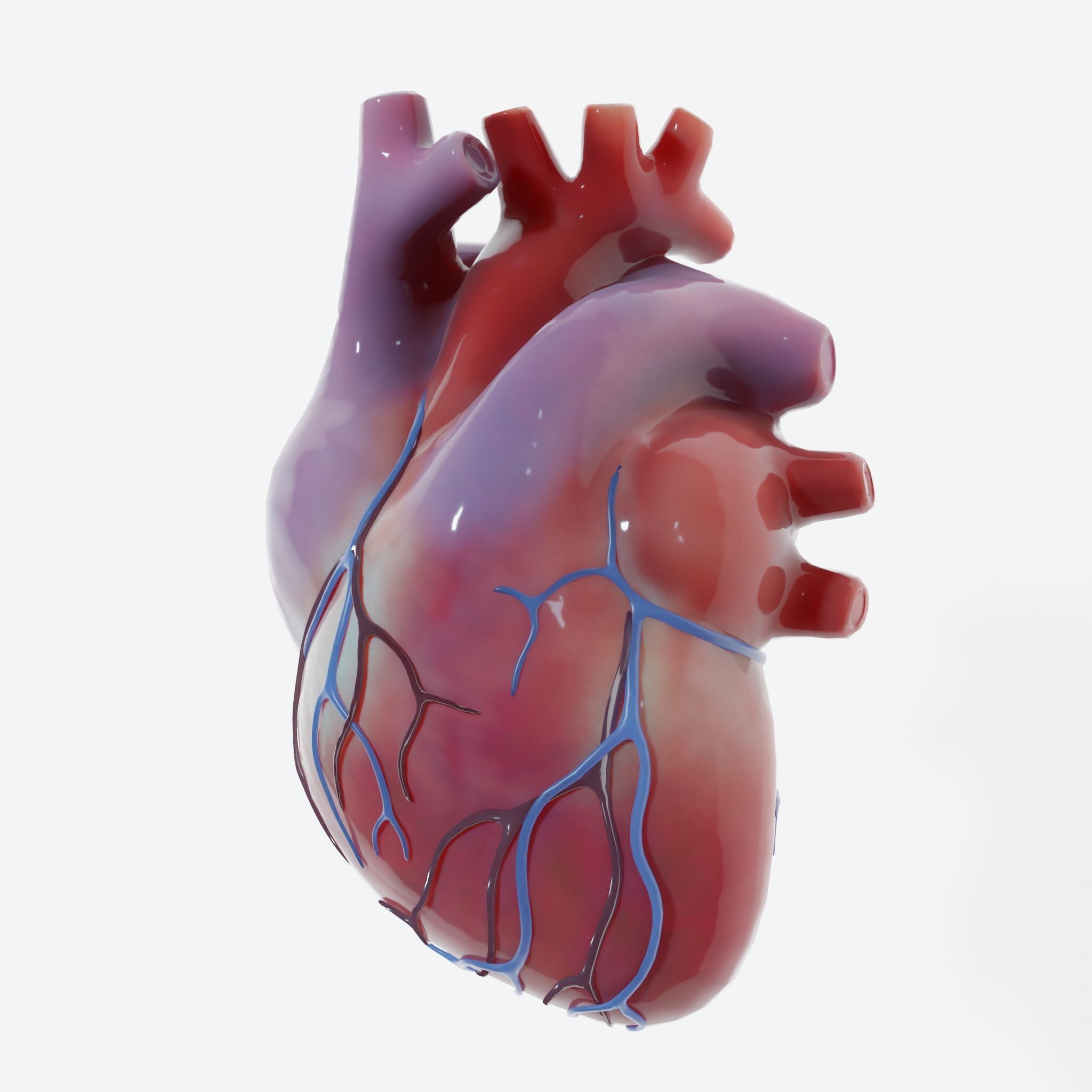 Human Heart Low-poly 3D model_1