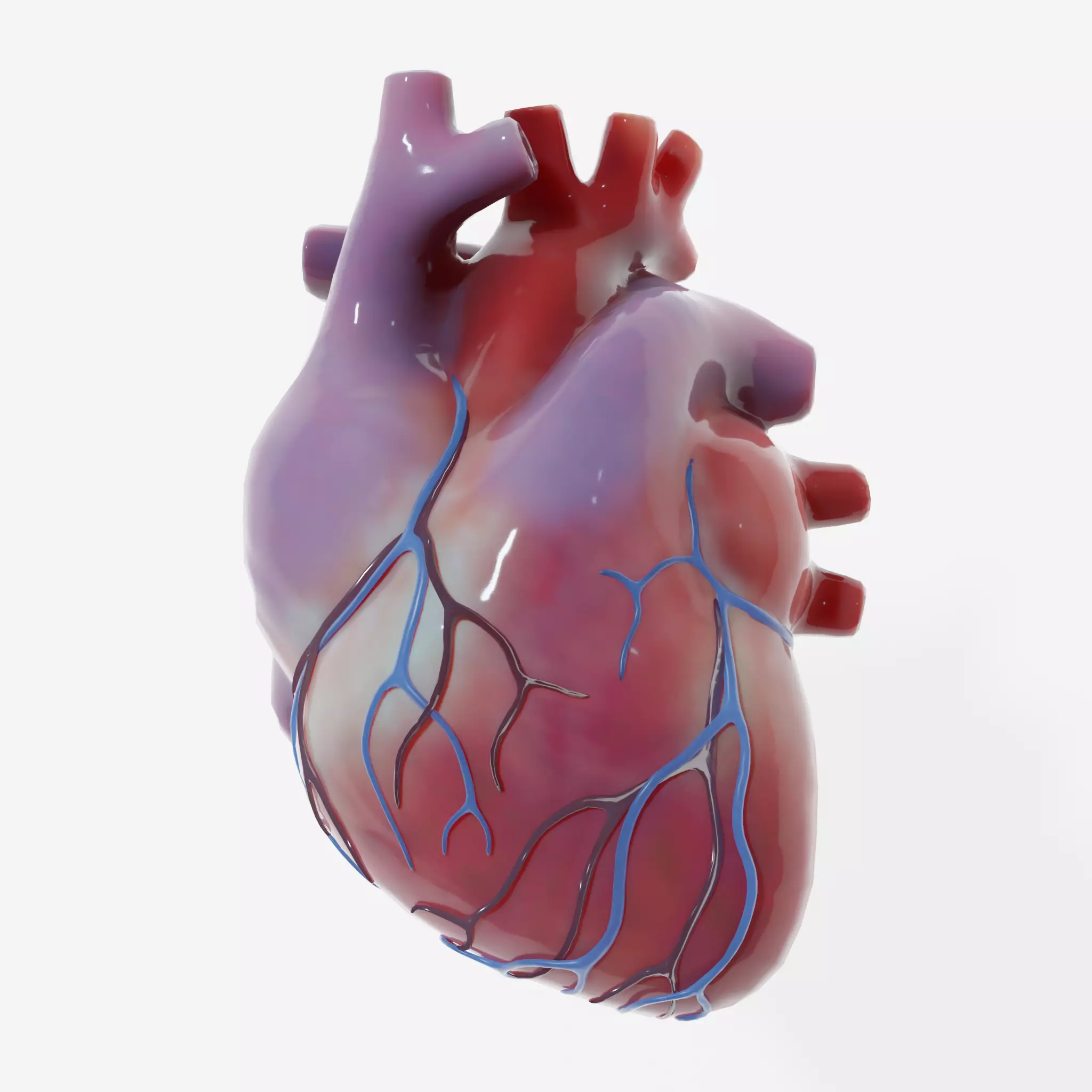 Human Heart Low-poly 3D model_0