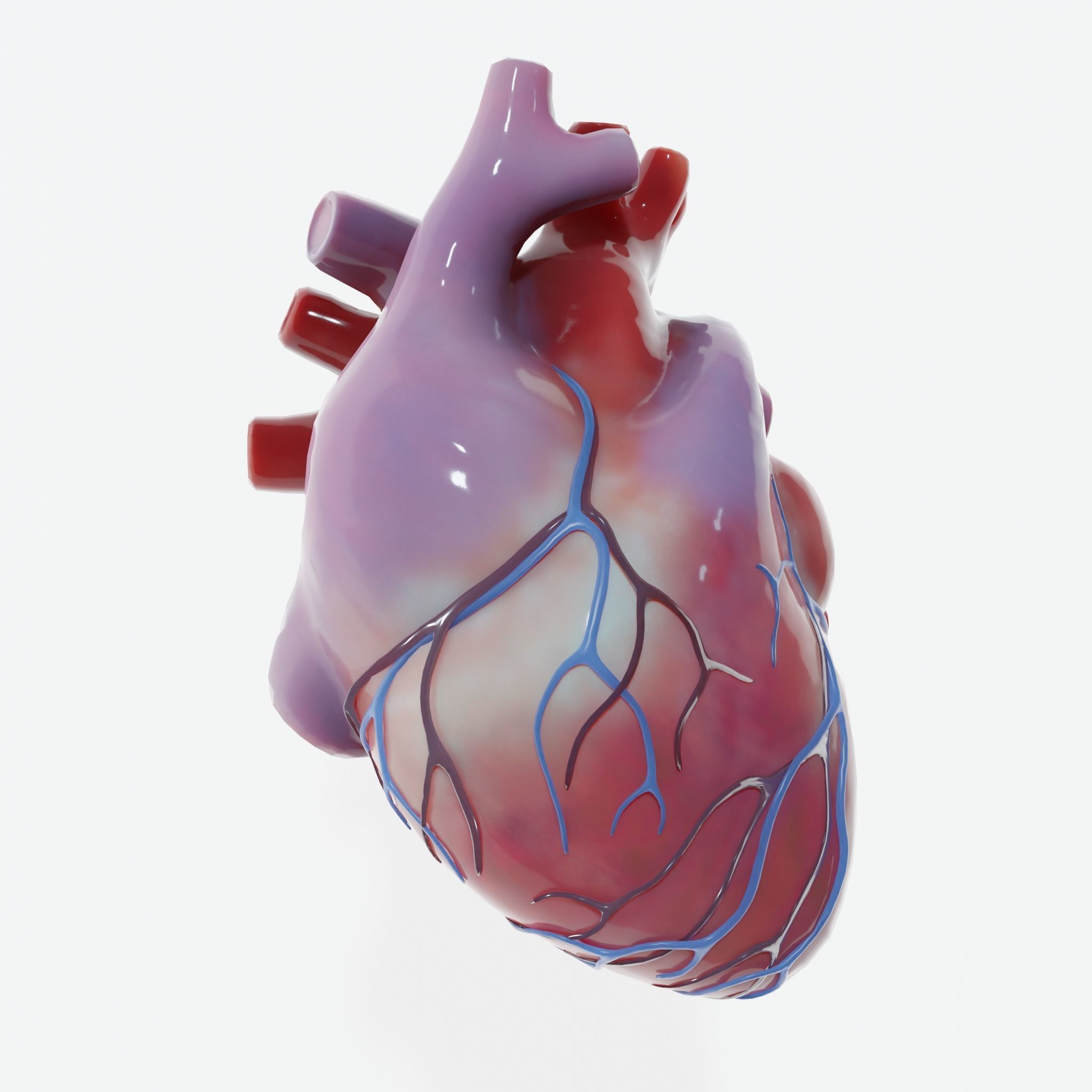 Human Heart Low-poly 3D model_2