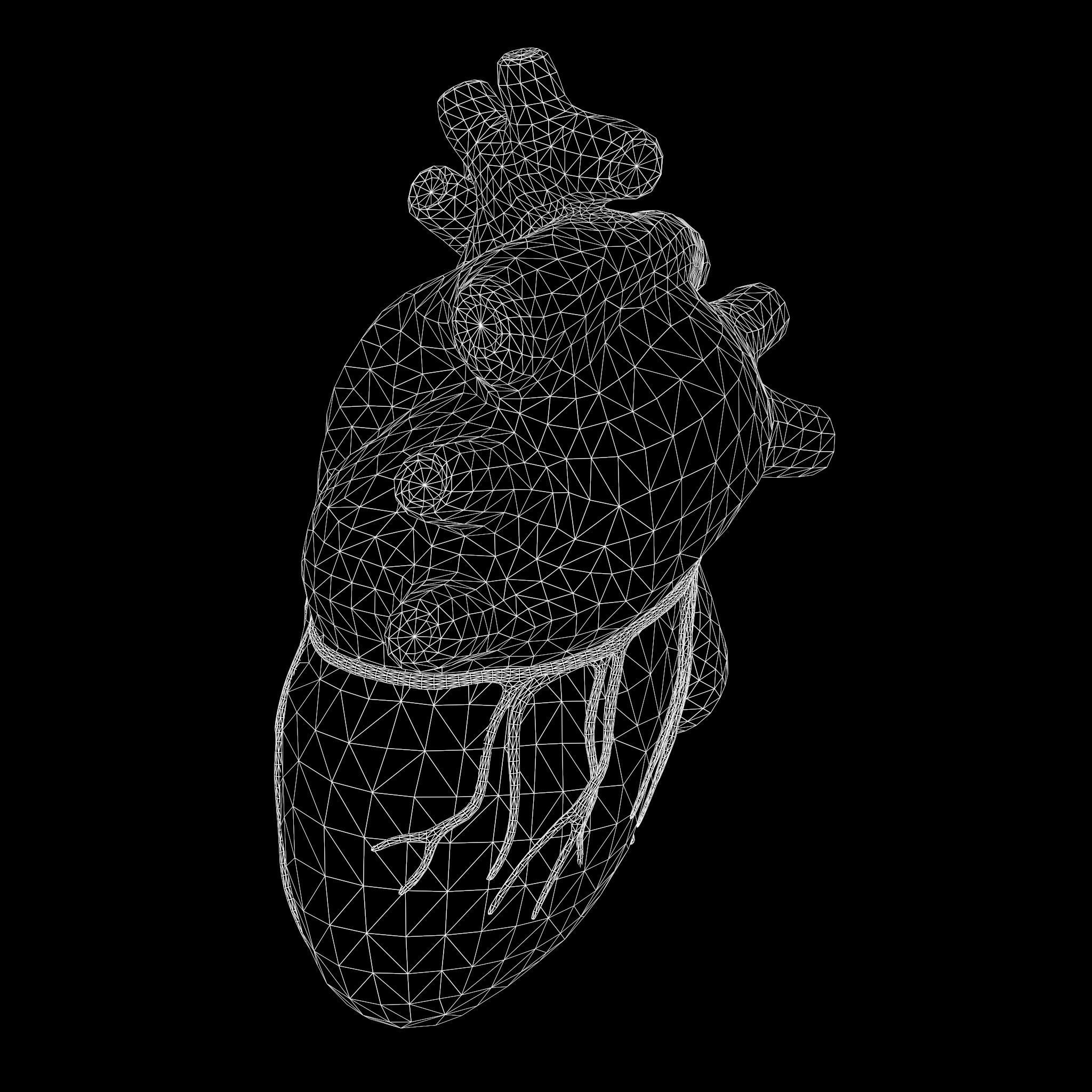 Human Heart Low-poly 3D model_6