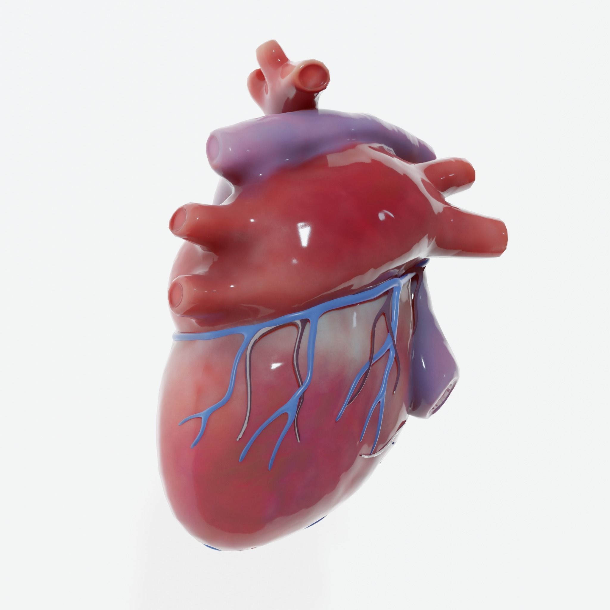 Human Heart Low-poly 3D model_4