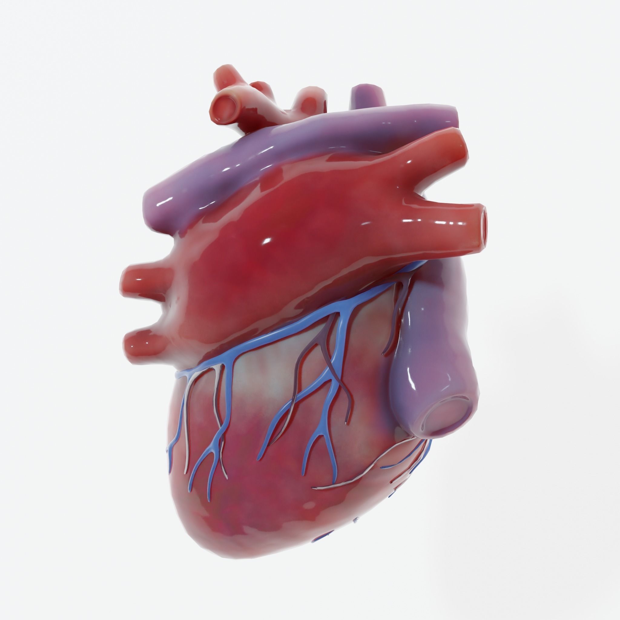 Human Heart Low-poly 3D model_3