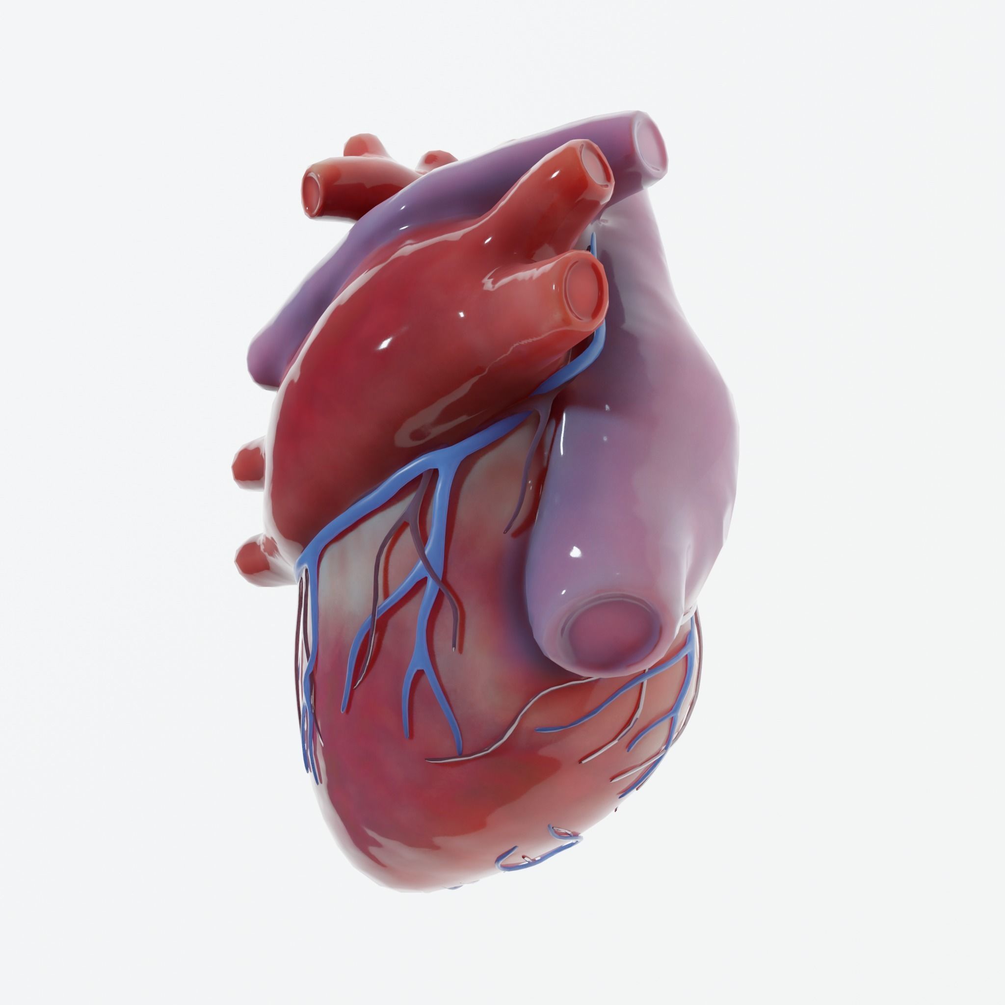 Human Heart Low-poly 3D model_5