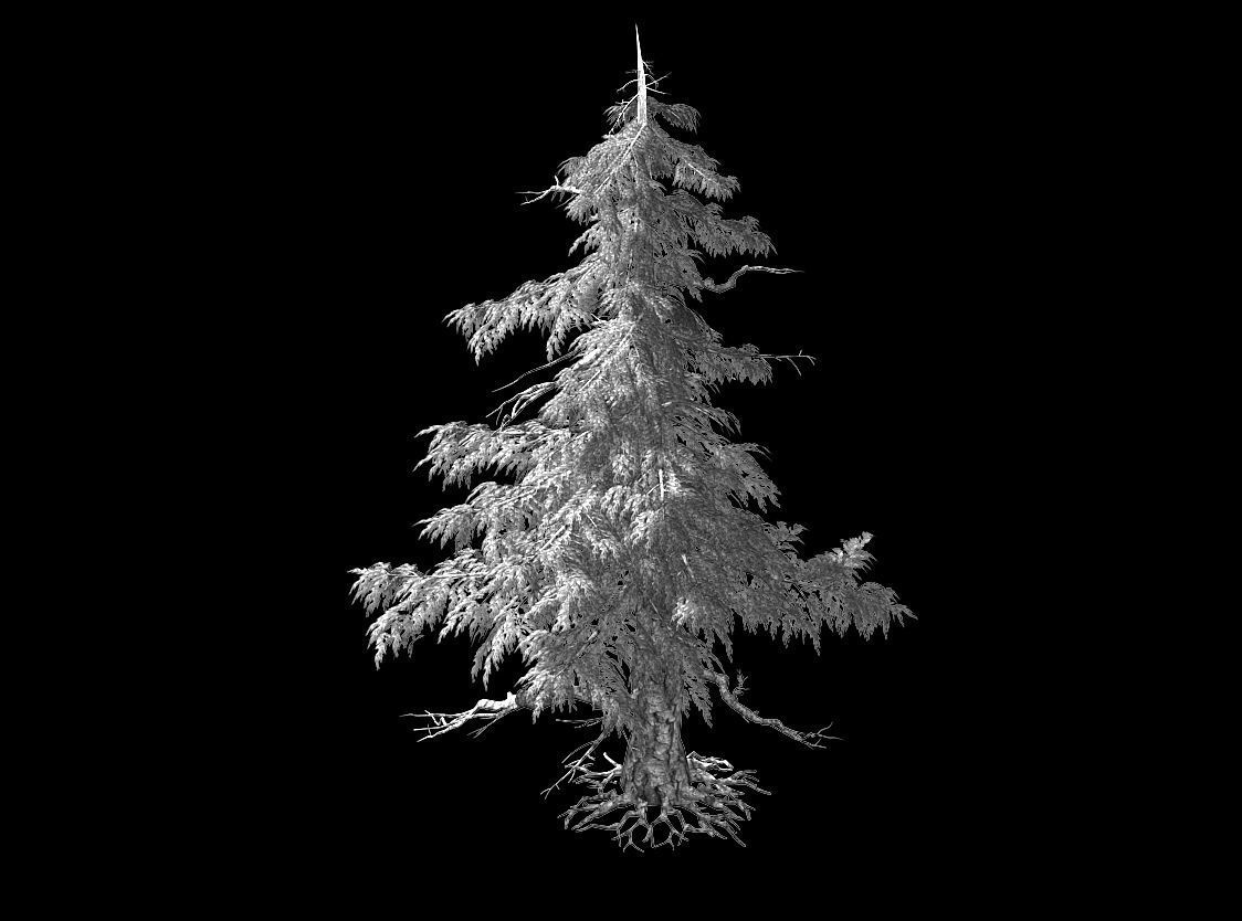 Landscape-Season-Pine Tree 02 3D model_2