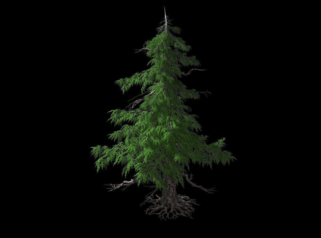 Landscape-Season-Pine Tree 02 3D model_1