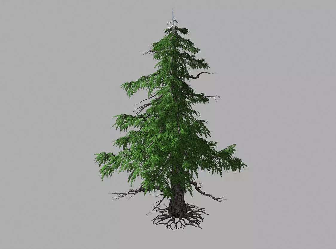 Landscape-Season-Pine Tree 02 3D model_0