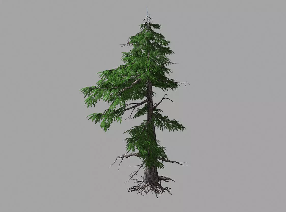 Landscape-Season-Pine Tree 03 3D model_0