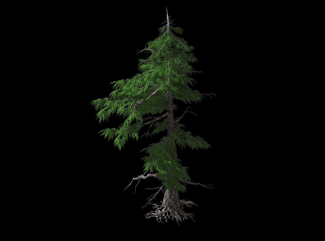 Landscape-Season-Pine Tree 03 3D model_1