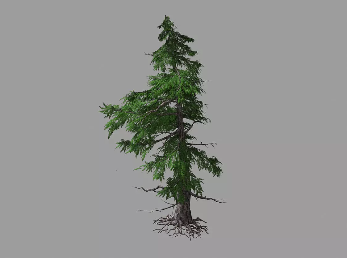 Landscape-Season-Pine Tree 04 3D model_0