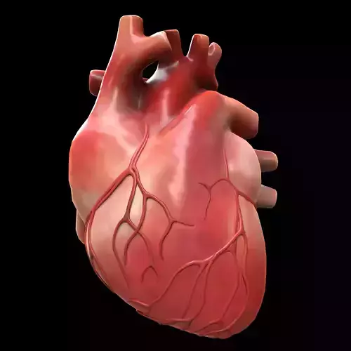 Human Heart Low-poly 3D model
