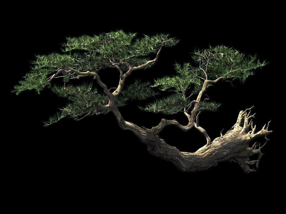 Landscape-Season-Pine Tree 09 3D model_1