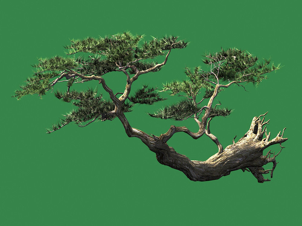 Landscape-Season-Pine Tree 09 3D model_3